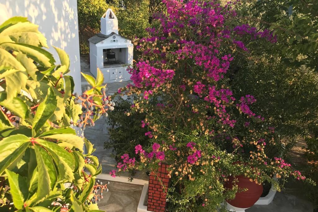 Παναής & Μαρία / Panais & Maria Villa Skopelos Exterior foto